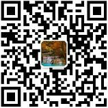 ���l(xi��ng)��̫���(d��ng)